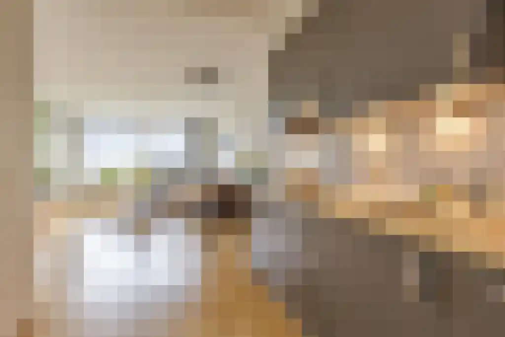 de Wilmskamp 145 Hengelo thumbnail 18