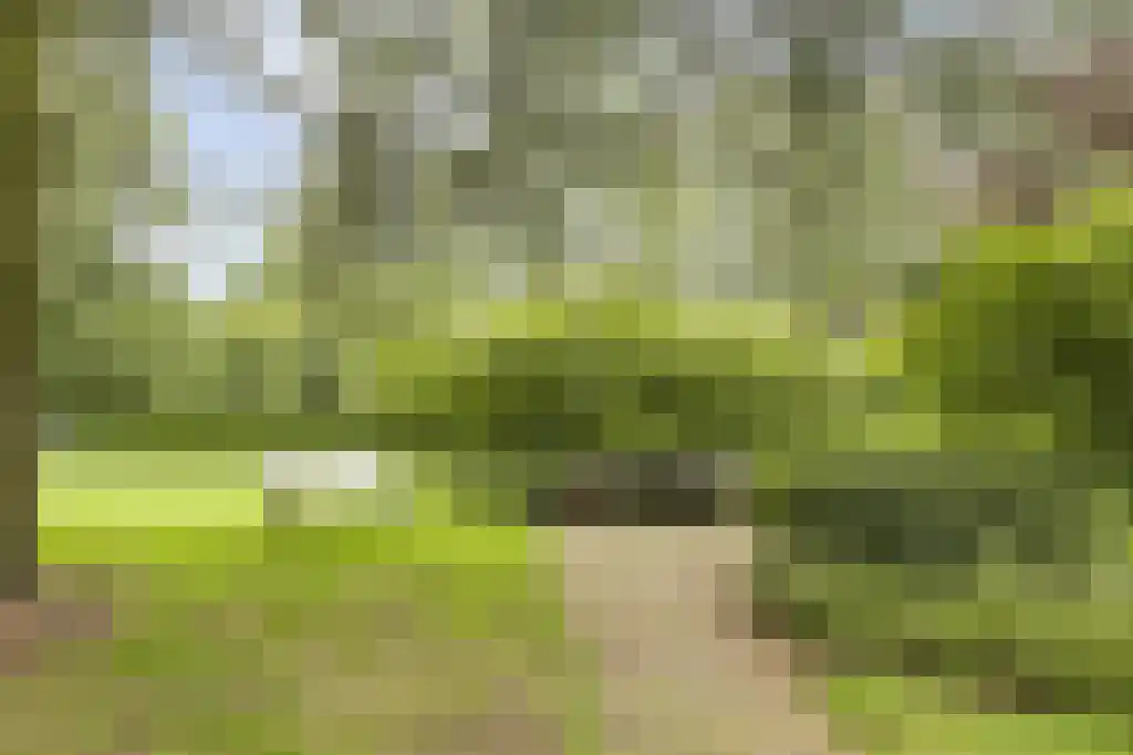 de Wilmskamp 145 Hengelo thumbnail 26