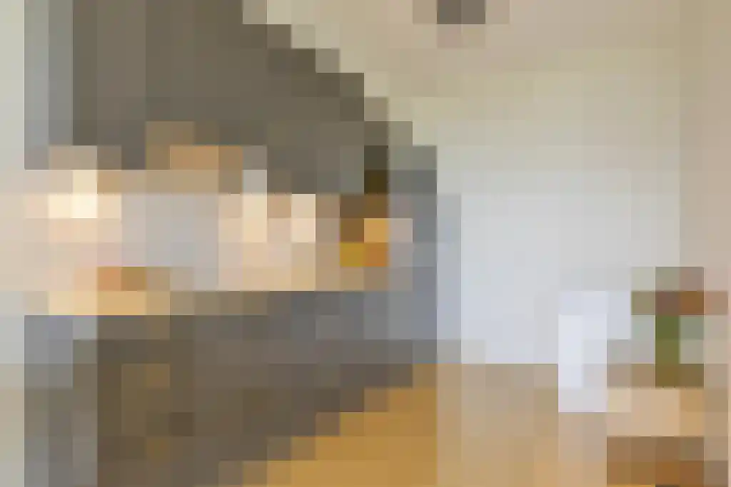 de Wilmskamp 145 Hengelo thumbnail 4