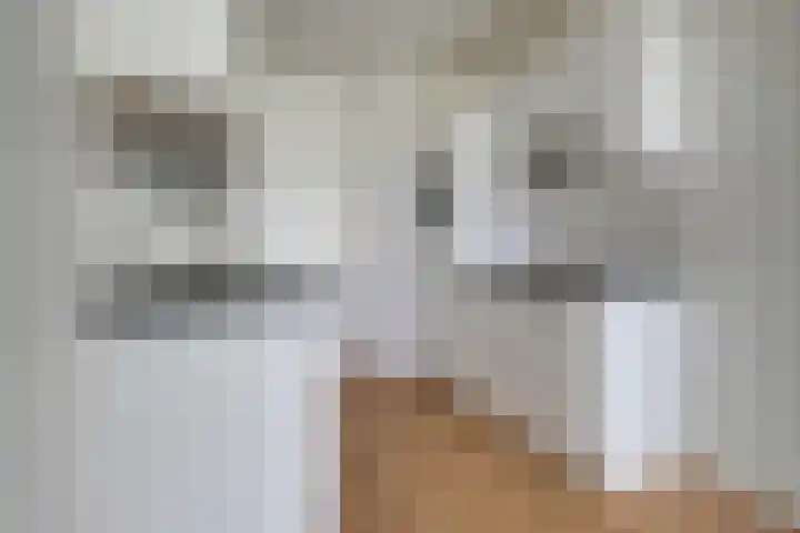 de Wilmskamp 153 Hengelo thumbnail 10