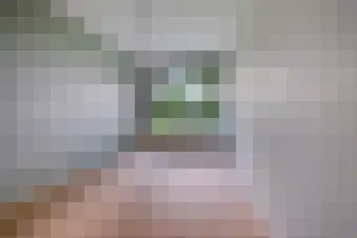 de Wilmskamp 153 Hengelo thumbnail 12
