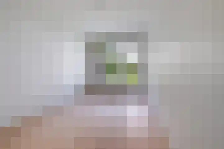de Wilmskamp 153 Hengelo thumbnail 14