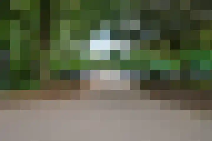 de Wilmskamp 153 Hengelo thumbnail 24
