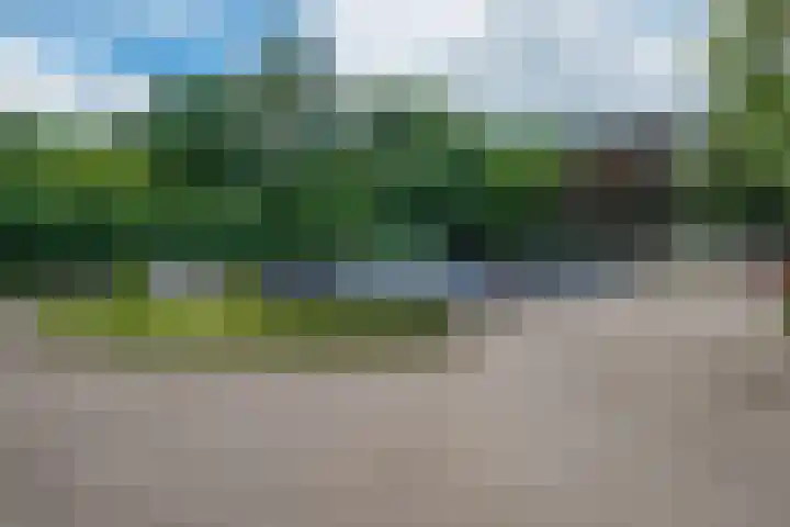 de Wilmskamp 153 Hengelo thumbnail 25
