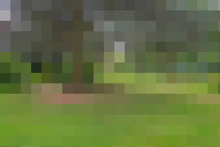 de Wilmskamp 153 Hengelo thumbnail 26