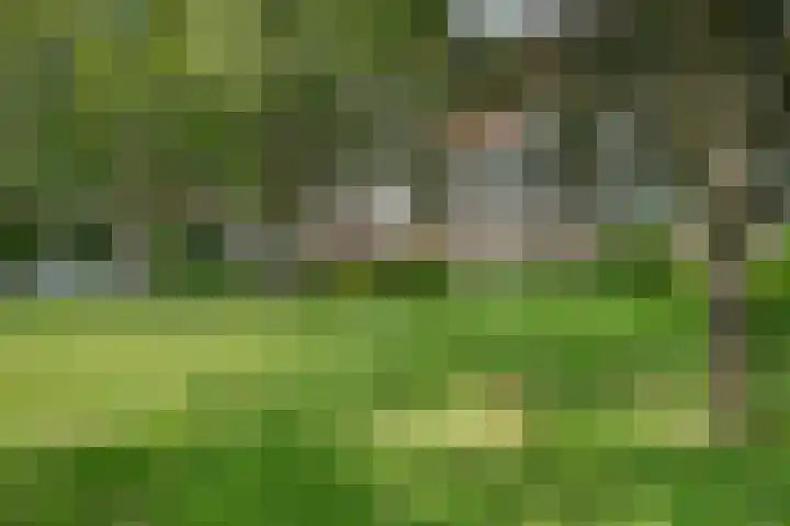 de Wilmskamp 153 Hengelo thumbnail 30