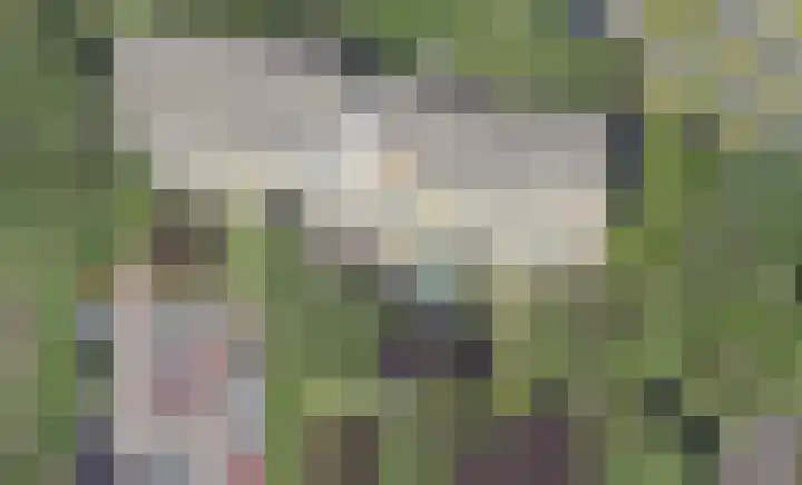 de Wilmskamp 153 Hengelo thumbnail 35