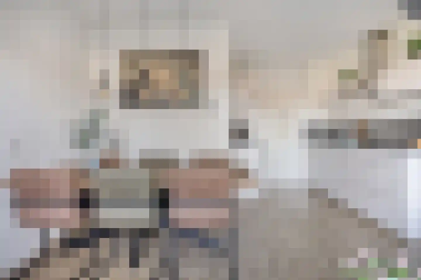 de Wilmskamp 171 Hengelo thumbnail 18