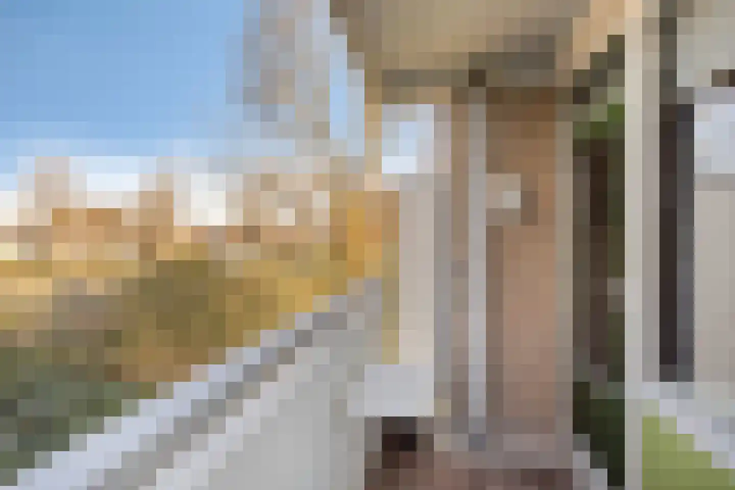 de Wilmskamp 171 Hengelo thumbnail 22