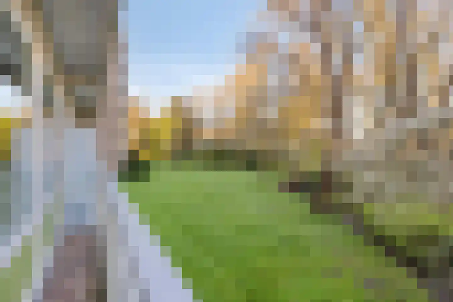 de Wilmskamp 171 Hengelo thumbnail 24