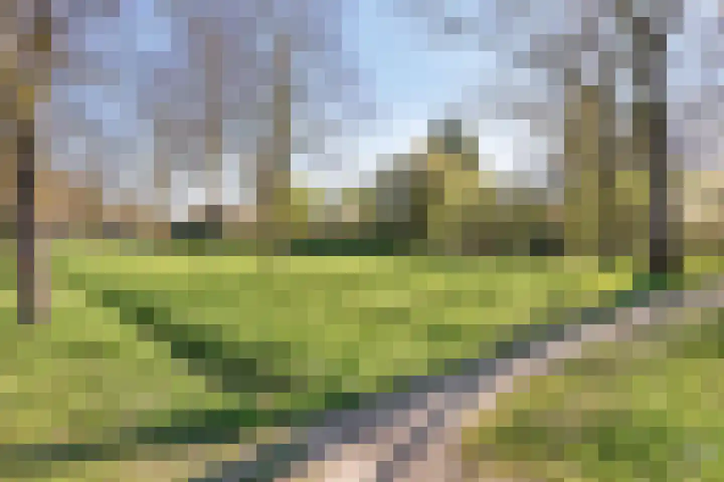de Wilmskamp 171 Hengelo thumbnail 31