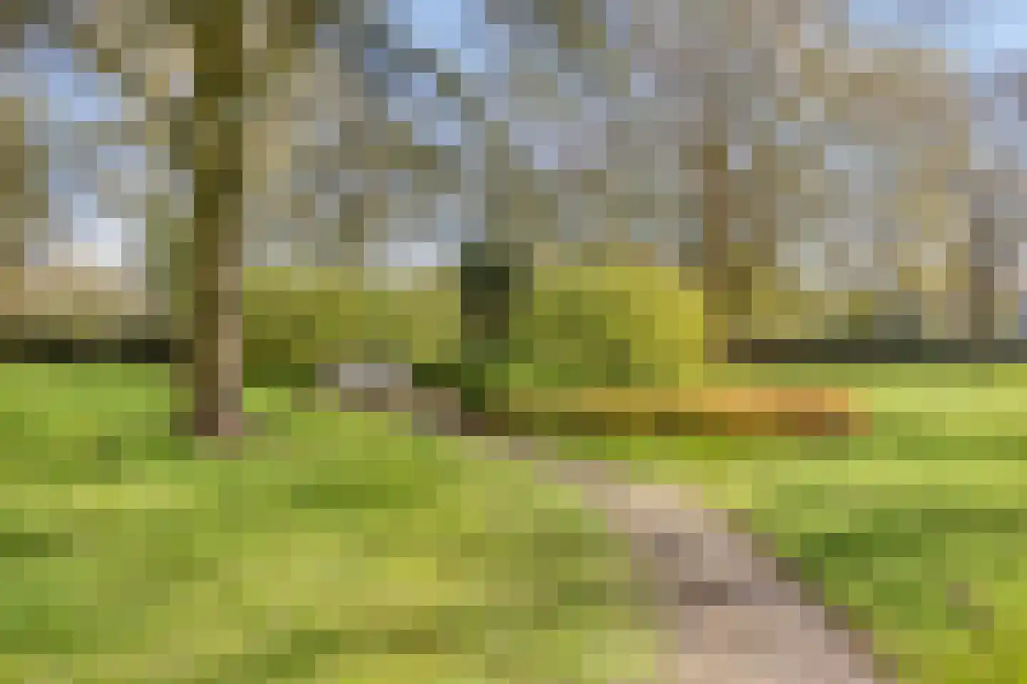 de Wilmskamp 171 Hengelo thumbnail 32
