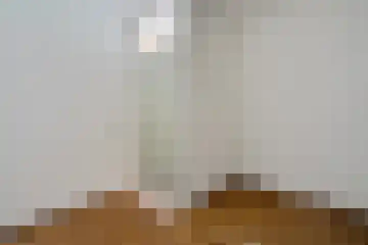 de Wilmskamp 221 Hengelo thumbnail 14
