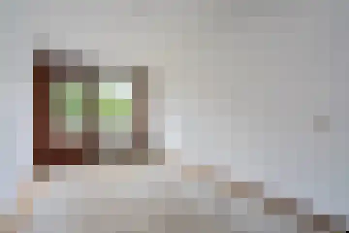 de Wilmskamp 221 Hengelo thumbnail 15