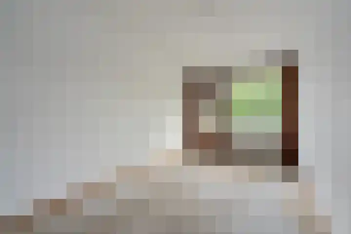 de Wilmskamp 221 Hengelo thumbnail 16
