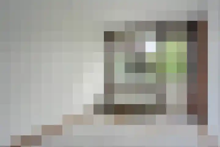 de Wilmskamp 221 Hengelo thumbnail 19