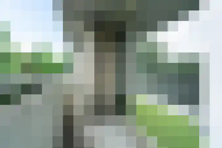 de Wilmskamp 221 Hengelo thumbnail 22
