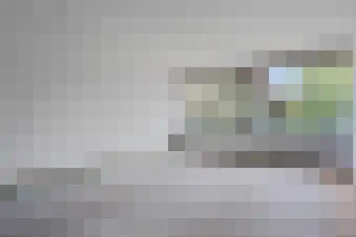 de Wilmskamp 221 Hengelo thumbnail 24