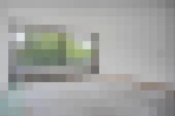 de Wilmskamp 221 Hengelo thumbnail 25