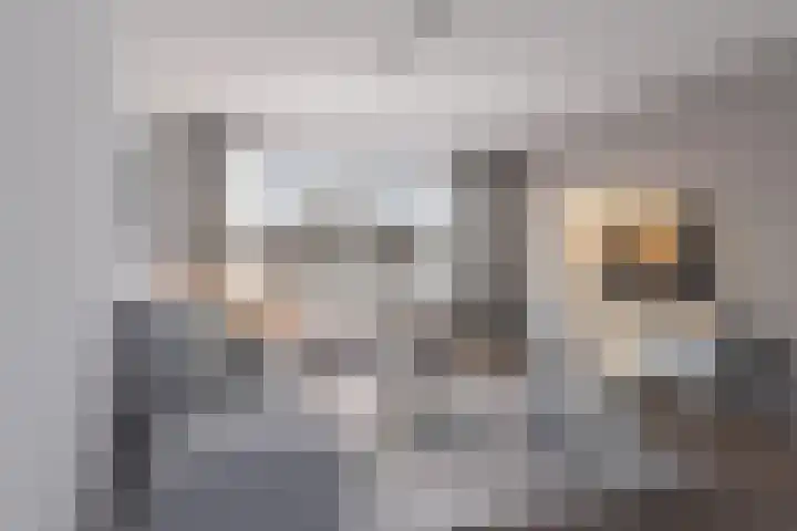 de Wilmskamp 221 Hengelo thumbnail 26