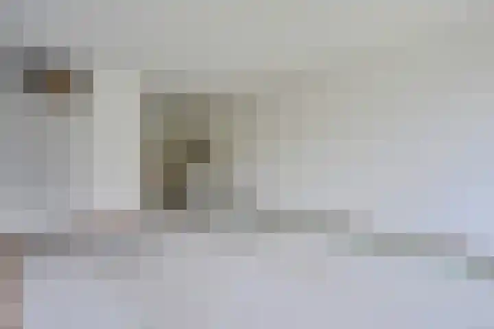 de Wilmskamp 221 Hengelo thumbnail 28