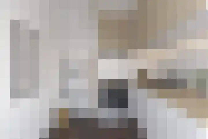 de Wilmskamp 221 Hengelo thumbnail 30