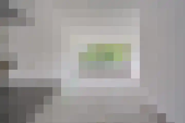 de Wilmskamp 221 Hengelo thumbnail 32