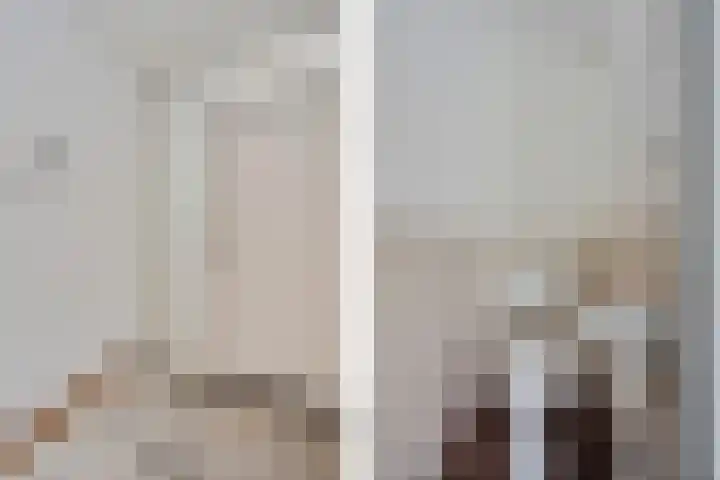 de Wilmskamp 221 Hengelo thumbnail 35