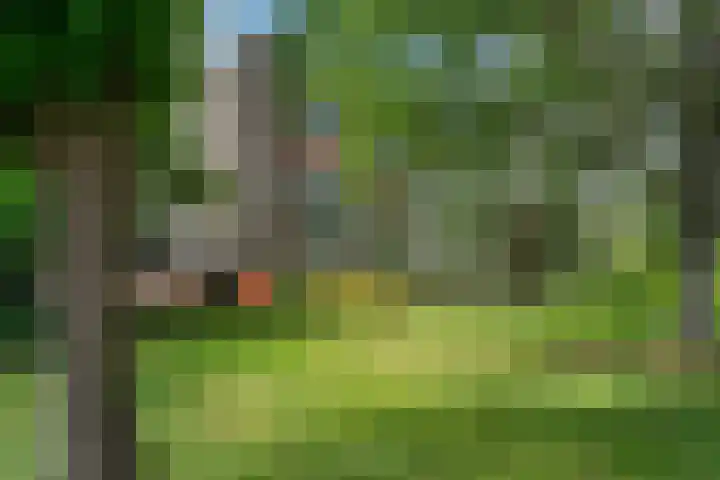 de Wilmskamp 221 Hengelo thumbnail 4