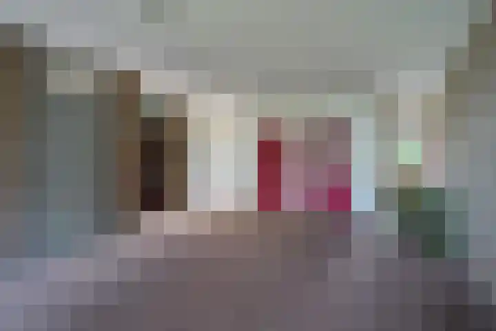 de Wilmskamp 221 Hengelo thumbnail 8