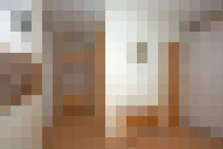 de Wilmskamp 223 Hengelo thumbnail 11