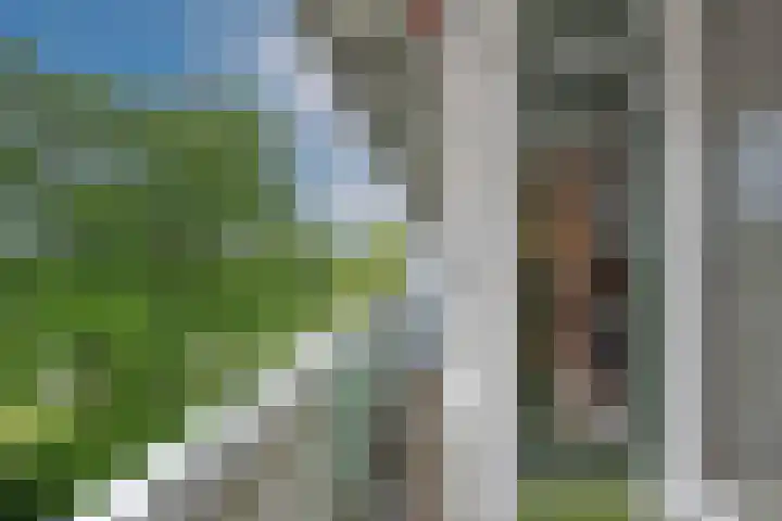de Wilmskamp 223 Hengelo thumbnail 14