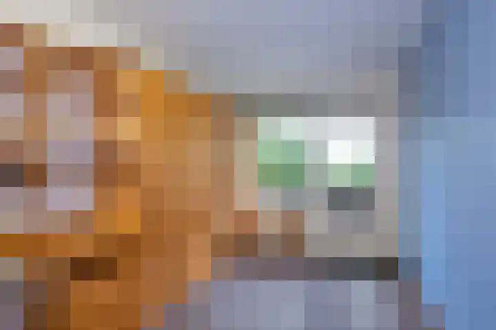 de Wilmskamp 223 Hengelo thumbnail 21