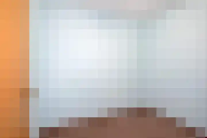 de Wilmskamp 223 Hengelo thumbnail 23