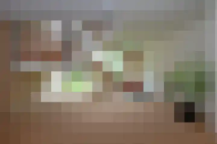de Wilmskamp 223 Hengelo thumbnail 27