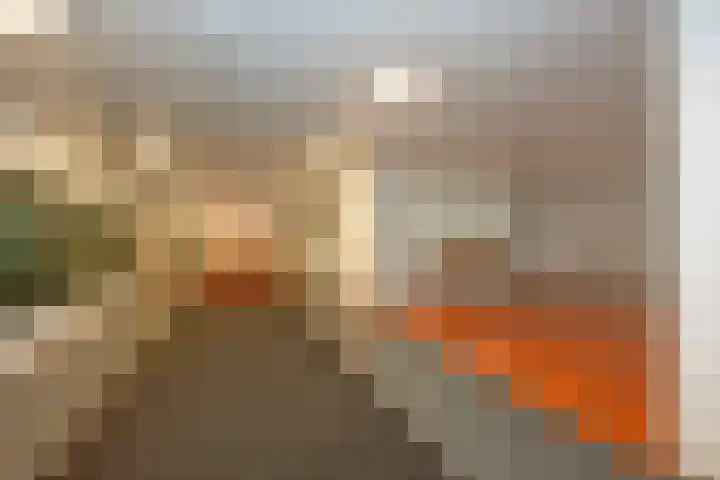 de Wilmskamp 223 Hengelo thumbnail 28
