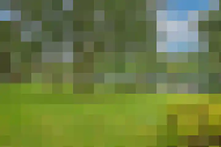 de Wilmskamp 223 Hengelo thumbnail 29