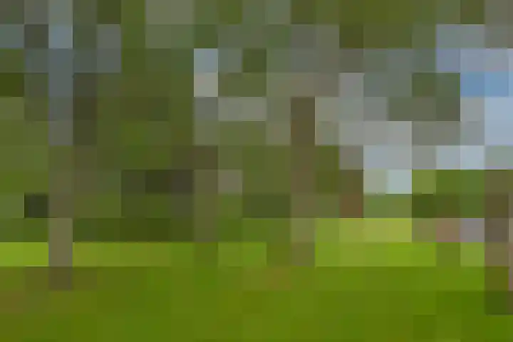 de Wilmskamp 223 Hengelo thumbnail 30