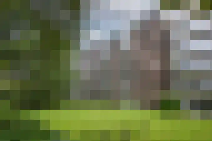 de Wilmskamp 223 Hengelo thumbnail 31