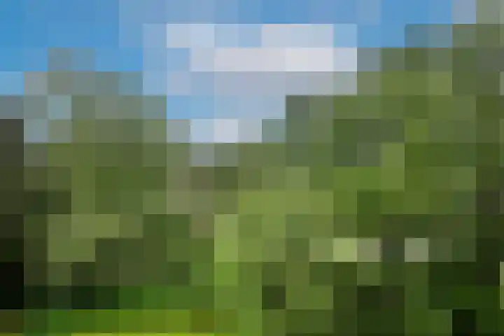 de Wilmskamp 223 Hengelo thumbnail 4