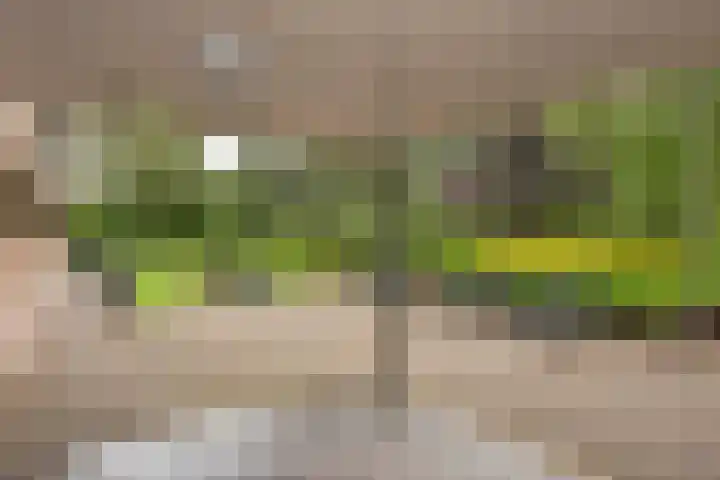 de Wilmskamp 223 Hengelo thumbnail 6