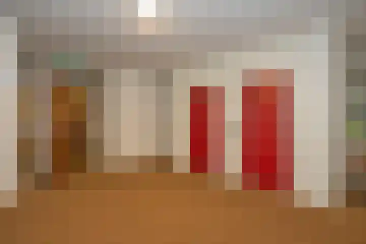 de Wilmskamp 223 Hengelo thumbnail 8