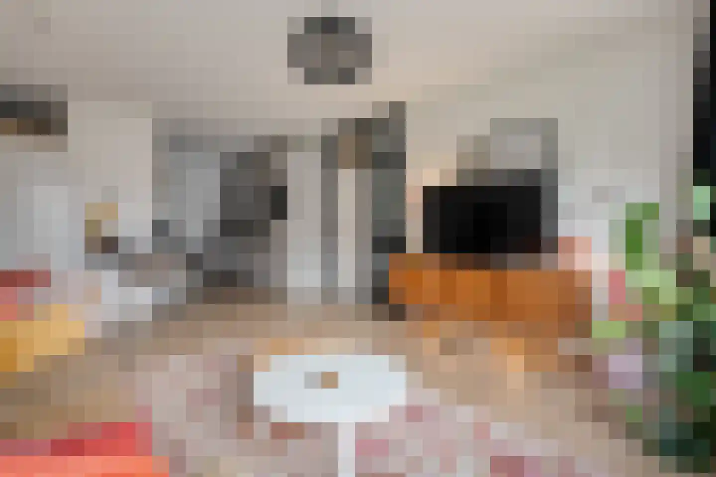 de Wilmskamp 25 Hengelo thumbnail 12