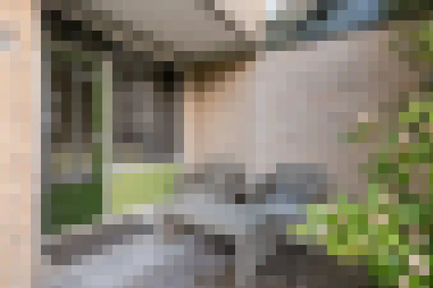 de Wilmskamp 25 Hengelo thumbnail 31