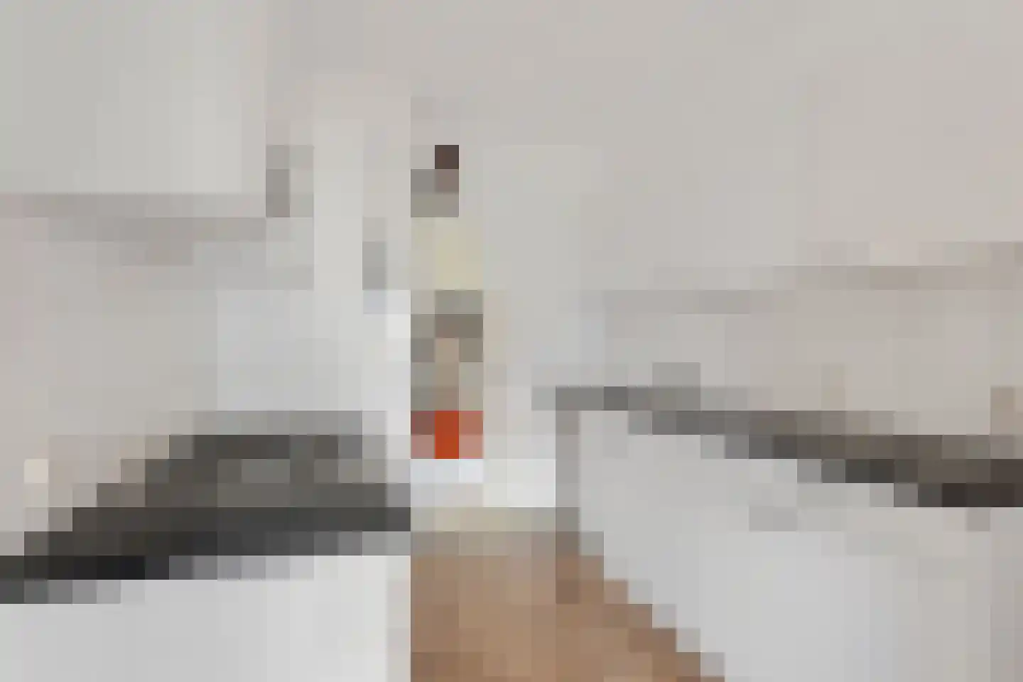 de Wilmskamp 255 Hengelo thumbnail 11