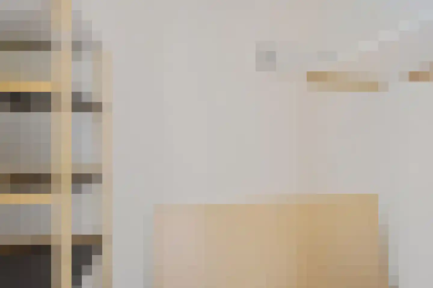 de Wilmskamp 255 Hengelo thumbnail 15