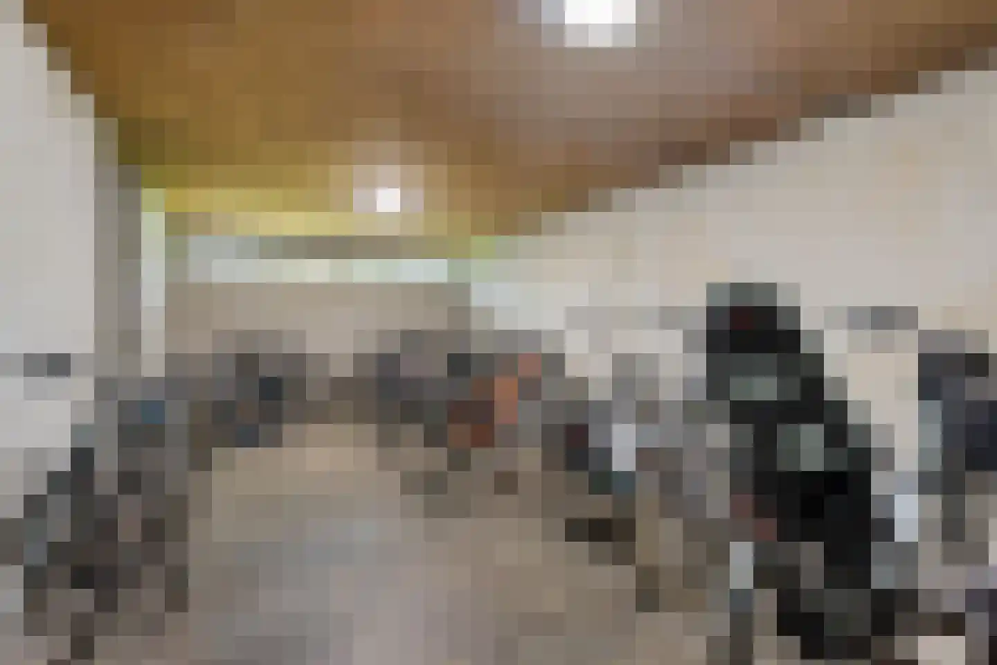 de Wilmskamp 255 Hengelo thumbnail 19