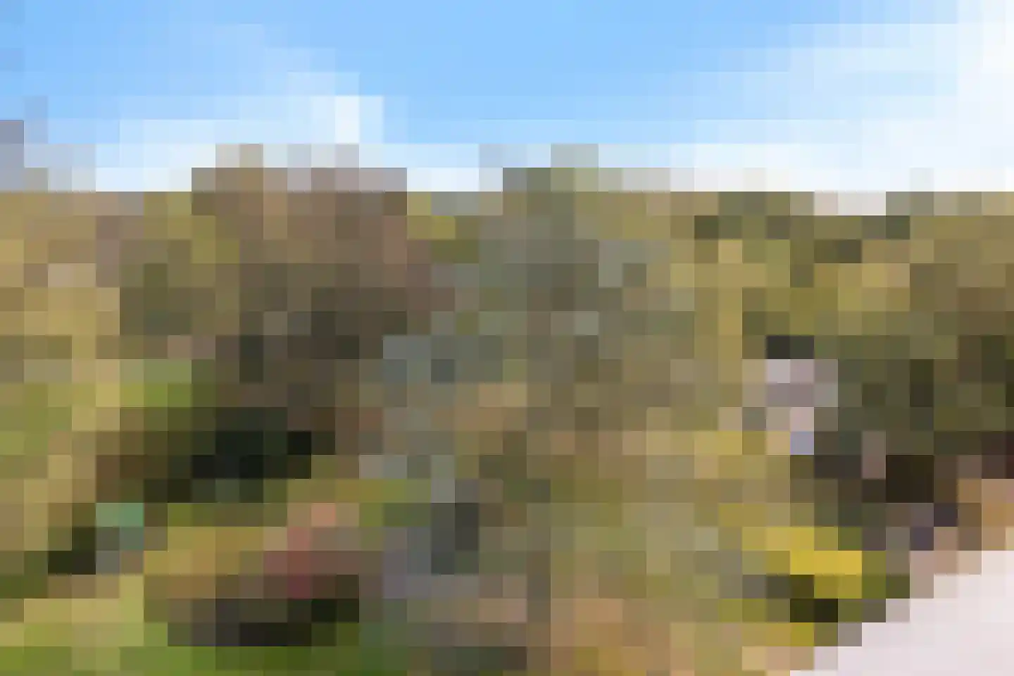 de Wilmskamp 255 Hengelo thumbnail 5