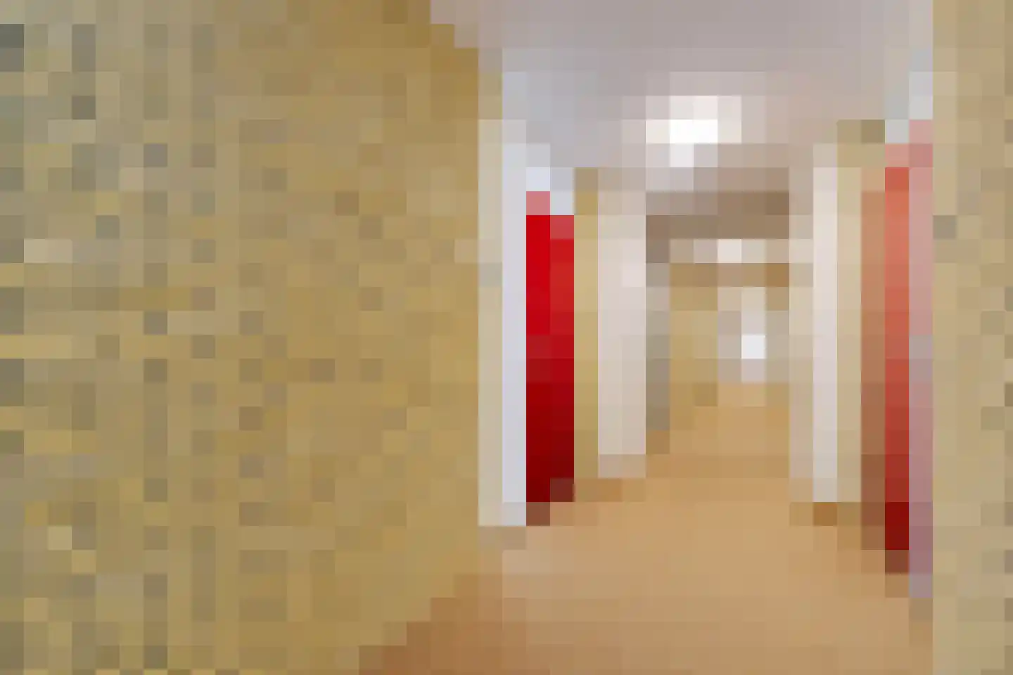 de Wilmskamp 255 Hengelo thumbnail 8