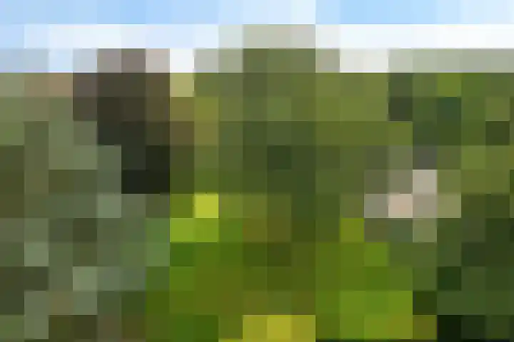 de Wilmskamp 261 Hengelo thumbnail 10